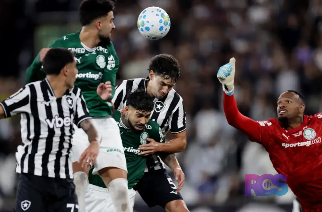 Botafogo segura Palmeiras e ajuda Flamengo, novo líder do Brasileirão