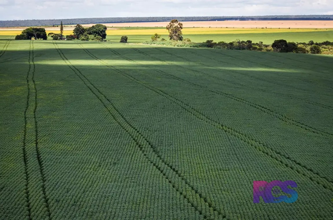 CMN amplia renegociação de dívidas rurais ligadas a eventos climáticos