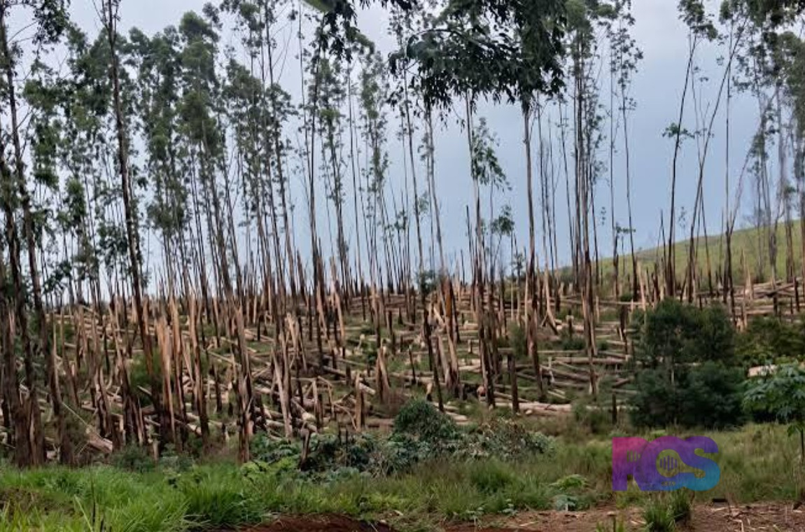 DOIS TORNADOS SÃO CONFIRMADOS NO PARANÁ EM MENOS DE 24 HORAS