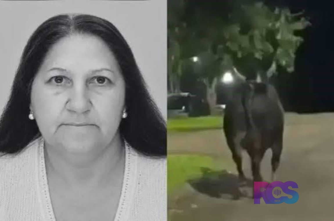 Idosa de 78 anos morre após ser atacada por touro que fugiu de rodeio em Barbosa Ferraz, no Paraná