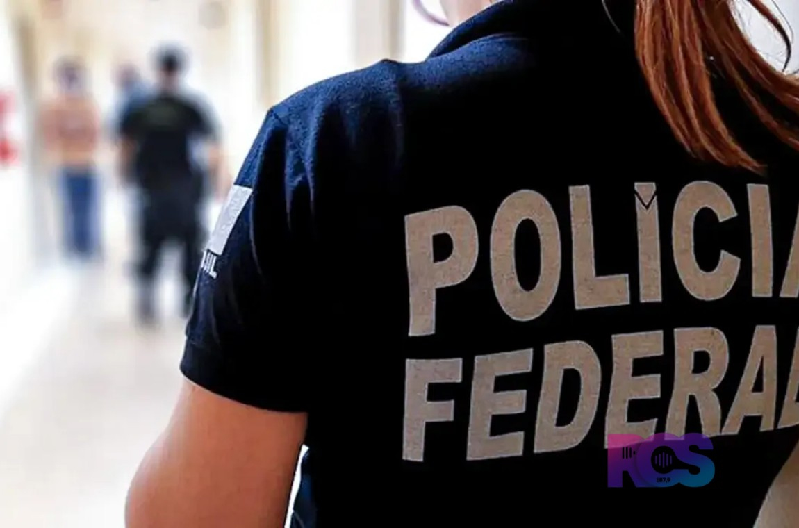 PF faz operação contra fraudes no registro de armas de colecionadores