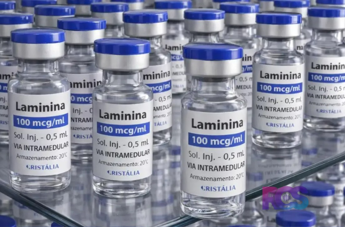 Testes clínicos fase 1 da polilaminina começam este mês