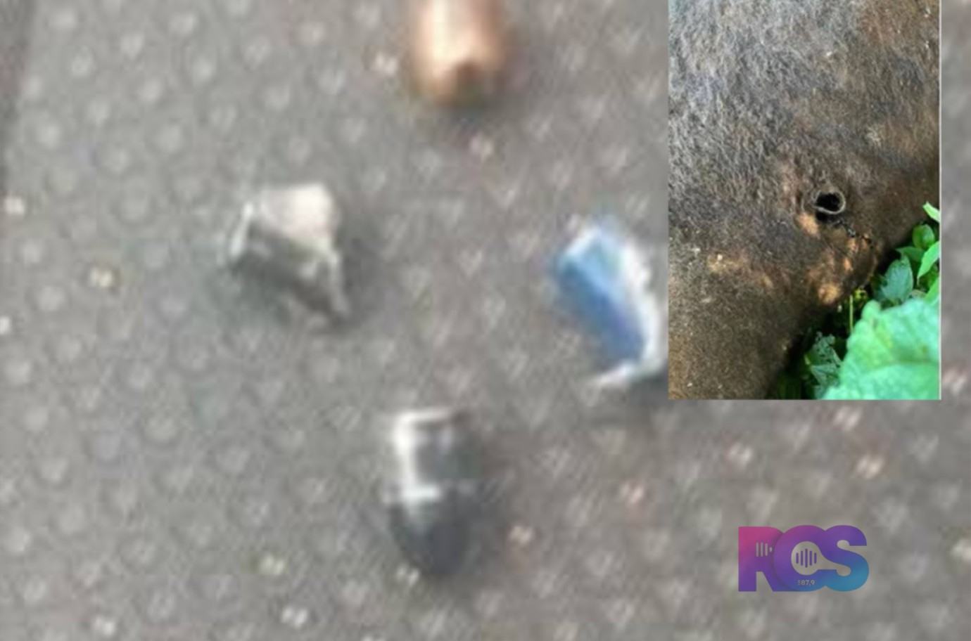 Disparos de arma de fogo matam bovino e atingem casa na zona rural de Francisco Beltrão