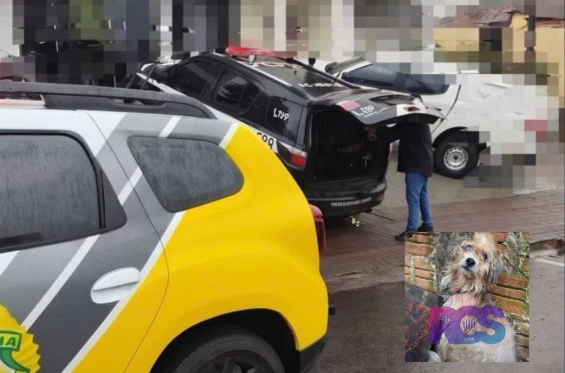 Homem é preso por maus-tratos a cão em Francisco Beltrão