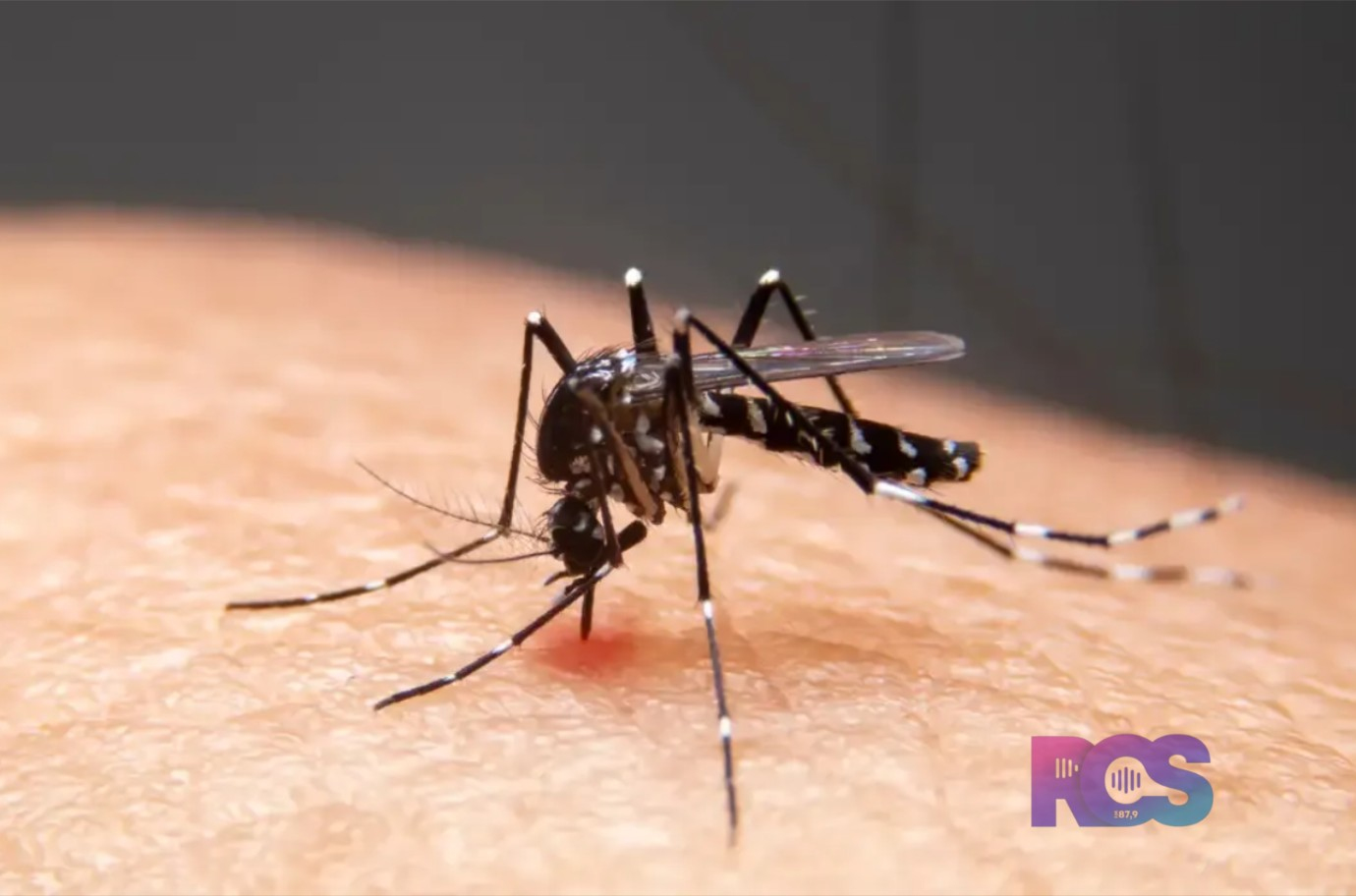 Mudanças climáticas já causam aumento de doenças infecciosas no país